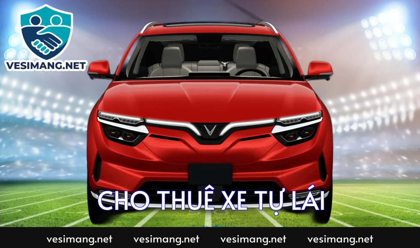 cho thue xe tu lai 2674 1