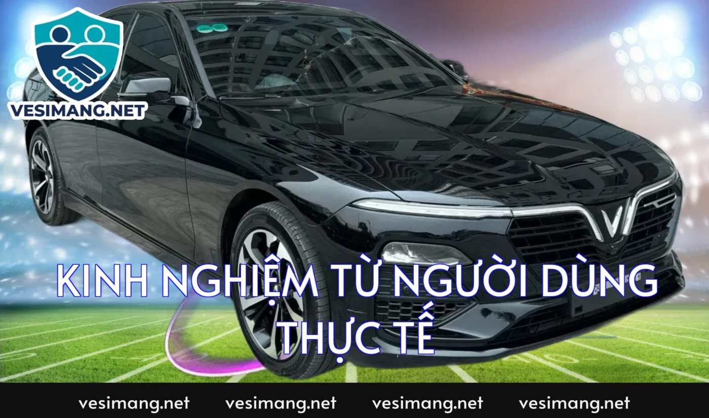 Kinh nghiệm từ người dùng thực tế