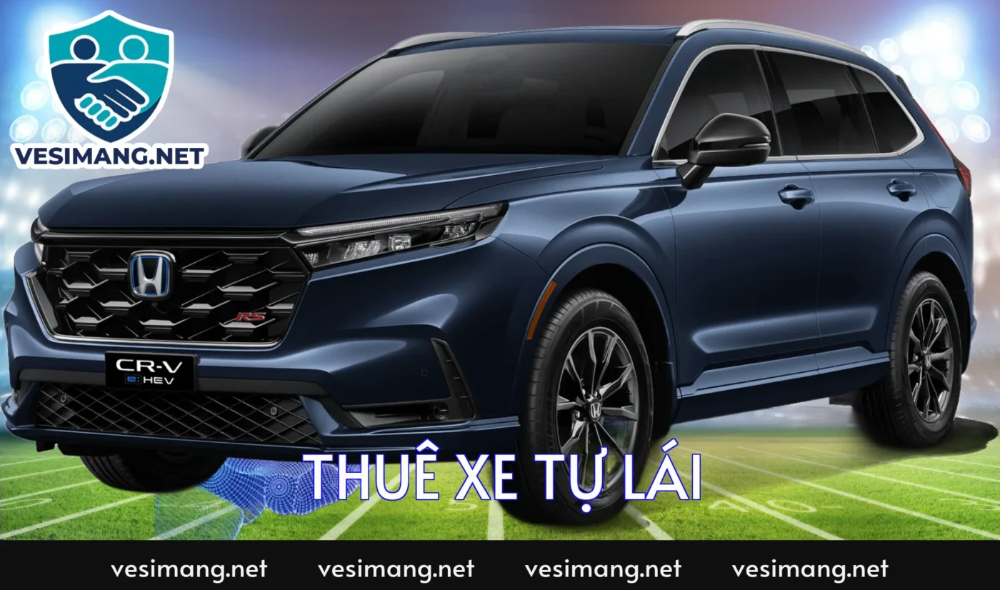 thue xe tu lai 2669 2