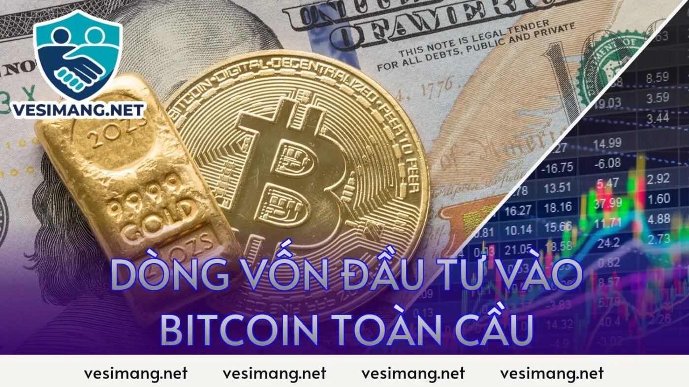 Bitcoin hôm nay: Diễn biến thị trường BTC mới nhất 2026 5 dòng vốn đầu tư vào bitcoin toàn cầu